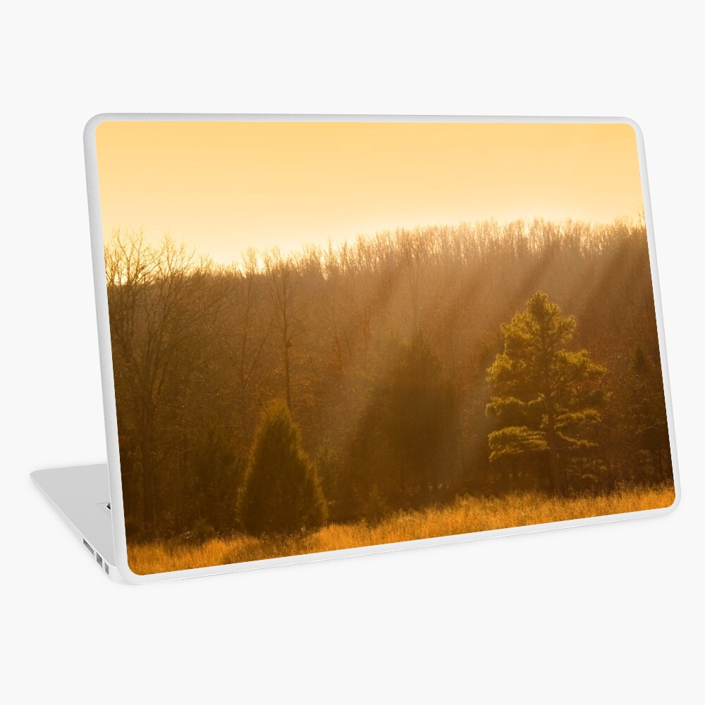 Item preview, Laptop Skin designed and sold by believer9.