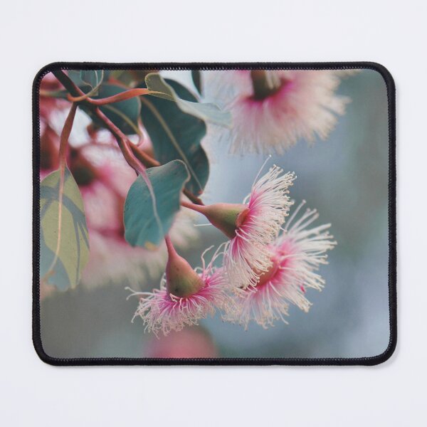 Item preview, Corymbia Fairy Floss #5 designed and sold by Cloudlingpics.