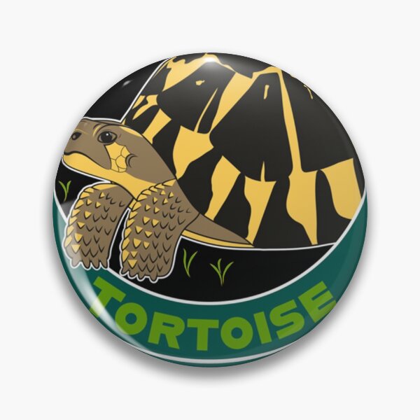 Artikelvorschau, Garden State Tortoise Western Hermann&x27;s Tortoise entworfen und verkauft von JoanaVelasco23.