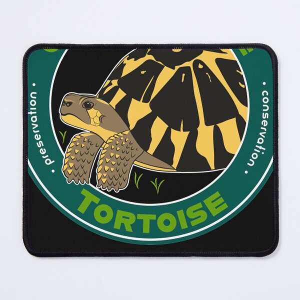 Artikelvorschau, Garden State Tortoise Western Hermann&x27;s Tortoise entworfen und verkauft von JoanaVelasco23.