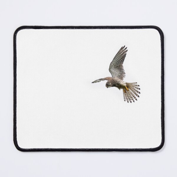 Item preview, Kestrel designed and sold by Mario Strauss.