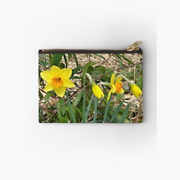 Item preview, Daffodils designed and sold by moonstone.