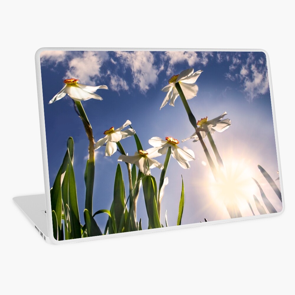 Item preview, Laptop Skin designed and sold by believer9.
