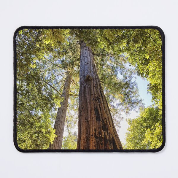 Item preview, The Redwoods designed and sold by Yair Karelic.