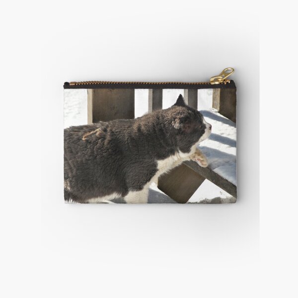 Item preview, Old Cat Going Up designed and sold by terrebo.