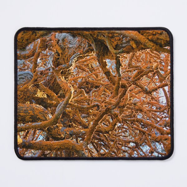 Item preview, Red Lichen designed and sold by Yair Karelic.