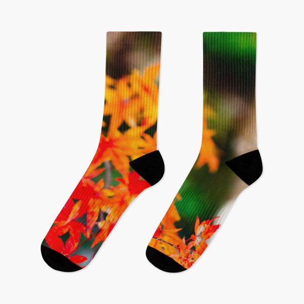 Item preview, Photography - Japanese fall leafs  designed and sold by Karolien Kenis.