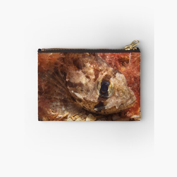Item preview, Cobbler. designed and sold by James Peake Nature Photography..