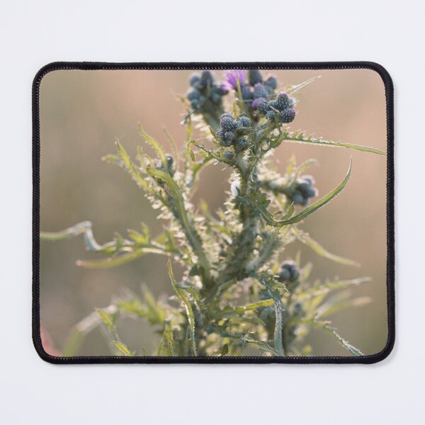 Item preview, Thistle at the end of the day designed and sold by PausePapote.