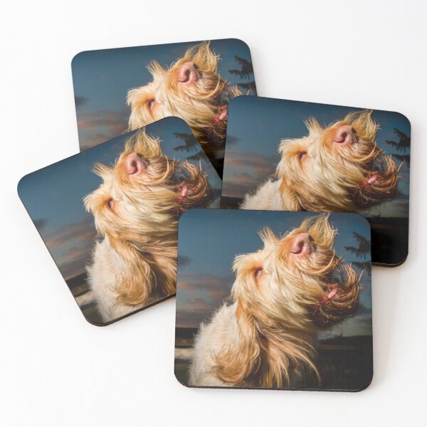 Item preview, Barking sunset Spinone designed and sold by FOLK ART FUSION by heidiannemorris.