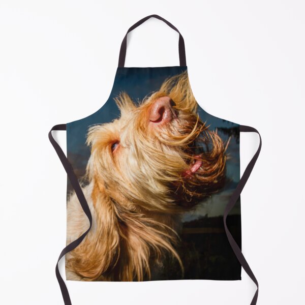 Item preview, Barking sunset Spinone designed and sold by FOLK ART FUSION by heidiannemorris.
