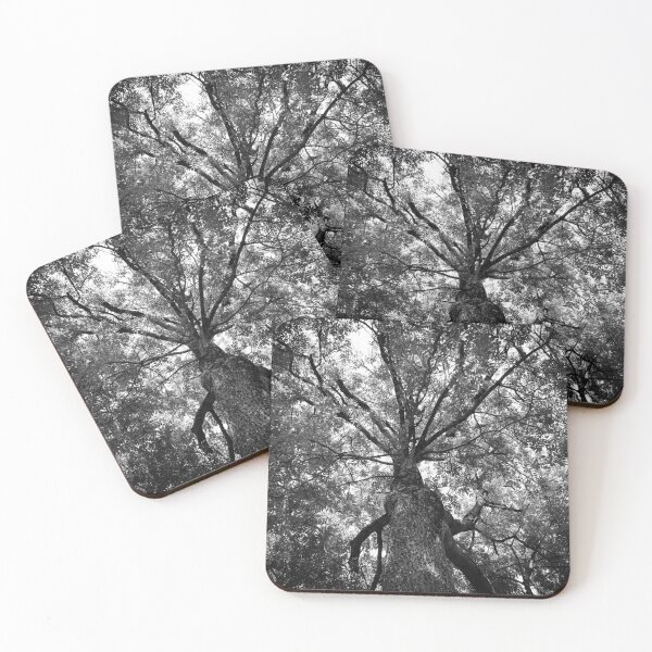 Item preview, A view through the trees in monochrome designed and sold by Ann Biddlecombe.