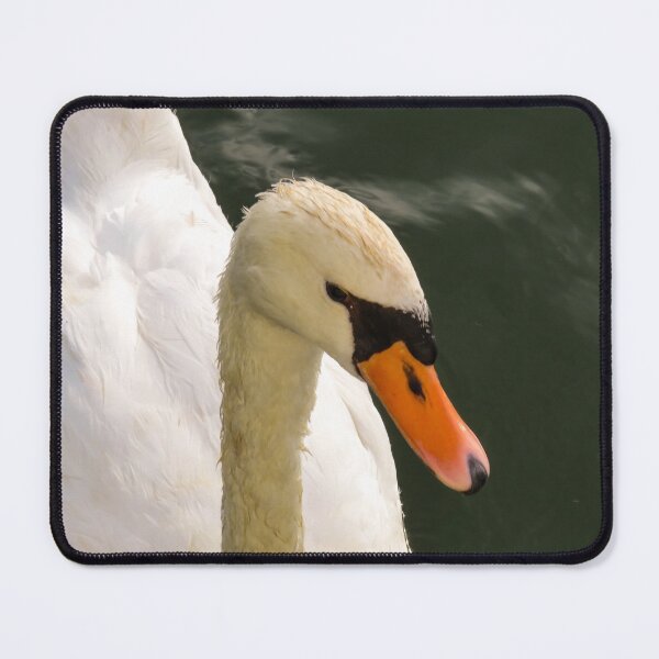 Item preview, Close up of white swan designed and sold by Ann Biddlecombe.