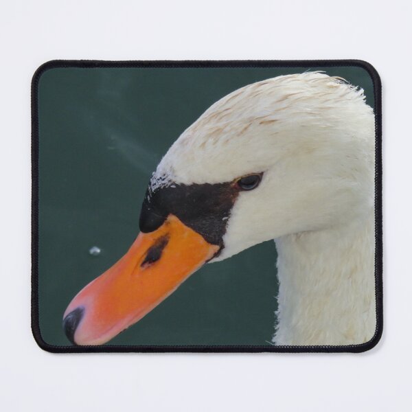 Item preview, Close up of white swans head designed and sold by Ann Biddlecombe.