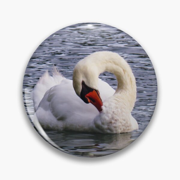 Item preview, Time for a clean designed and sold by Ann Biddlecombe.