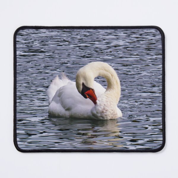 Item preview, Time for a clean designed and sold by Ann Biddlecombe.