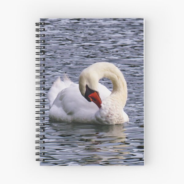 Item preview, Time for a clean designed and sold by Ann Biddlecombe.