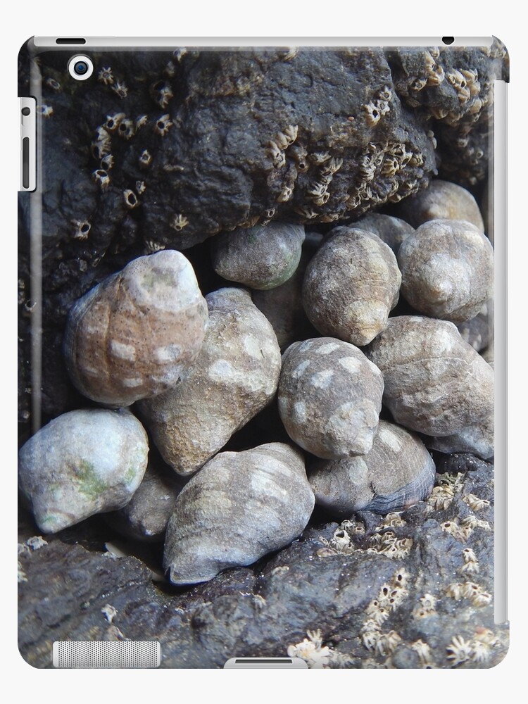 Thumbnail 1 of 2, iPad Case & Skin, Shells designed and sold by Pecho Amarillo.