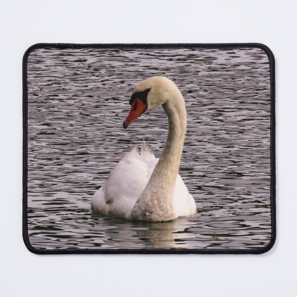 Item preview, A proud white swan designed and sold by Ann Biddlecombe.