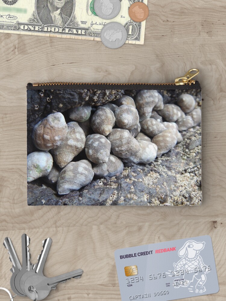 Thumbnail 3 of 4, Zipper Pouch, Shells designed and sold by Pecho Amarillo.