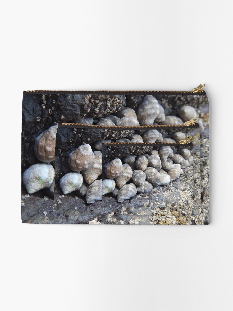 Thumbnail 2 of 4, Zipper Pouch, Shells designed and sold by Pecho Amarillo.