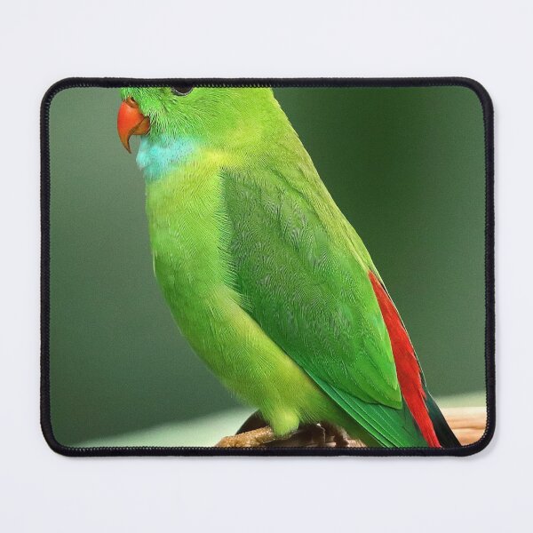 Item preview, Beautiful bird designed and sold by NoblePrince.