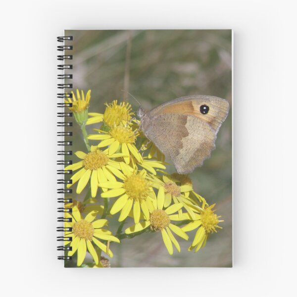 Item preview, Gatekeeper Butterfly Feeding on Yellow Wildflowers Photograph designed and sold by naturegallery.