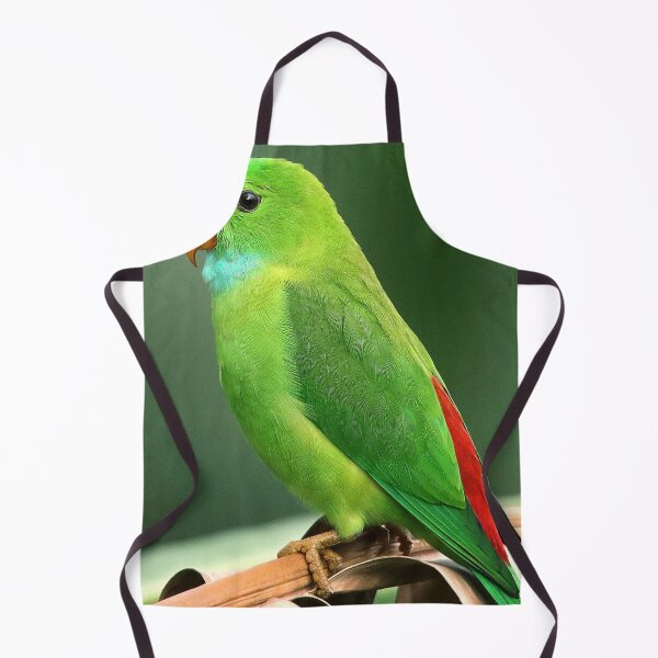 Item preview, Beautiful bird designed and sold by NoblePrince.