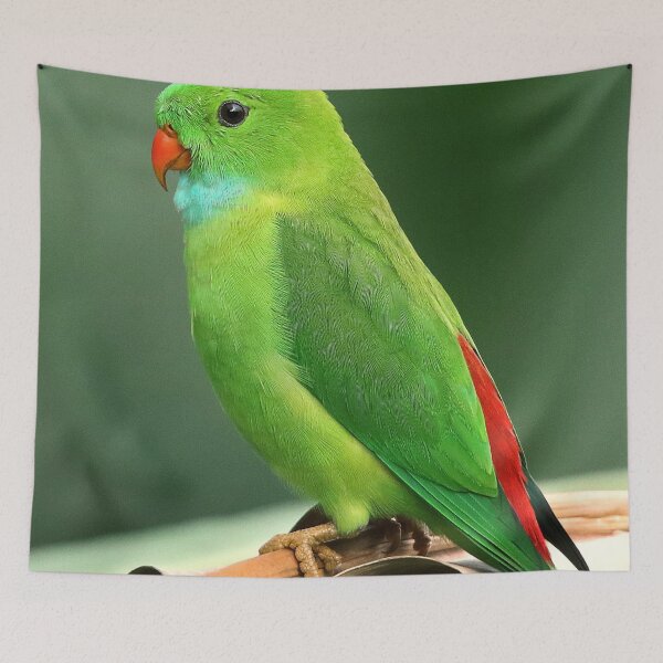 Item preview, Beautiful bird designed and sold by NoblePrince.