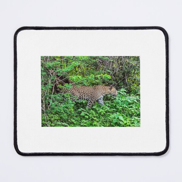 Item preview, leopard designed and sold by alicalane556.