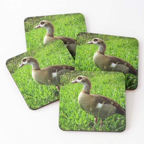 Item preview, Egyptian goose designed and sold by Ann Biddlecombe.
