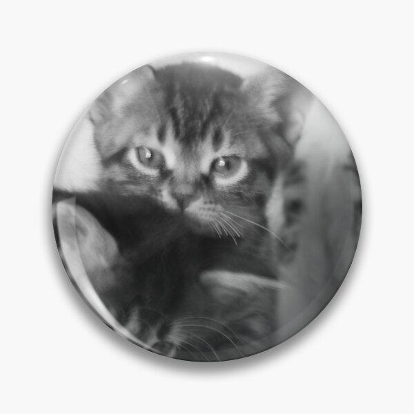 Item preview, Three Cat designed and sold by LATOGM.