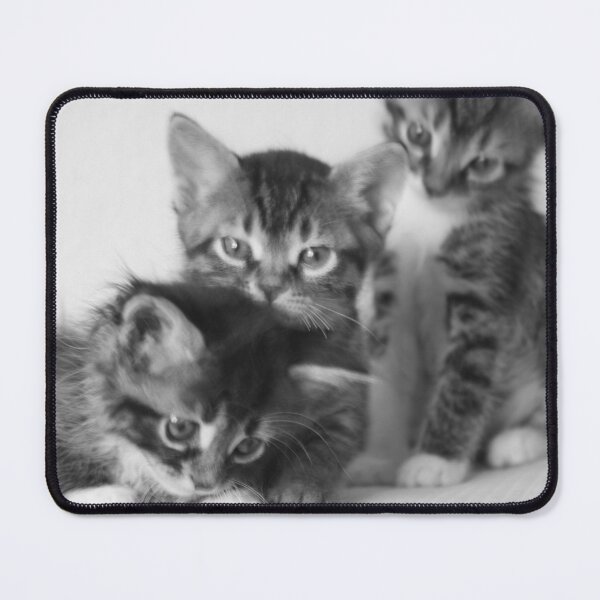 Item preview, Three Cat designed and sold by LATOGM.