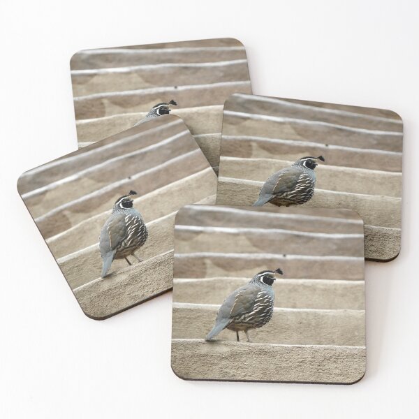 Item preview, Moorhen on a staircase designed and sold by PausePapote.