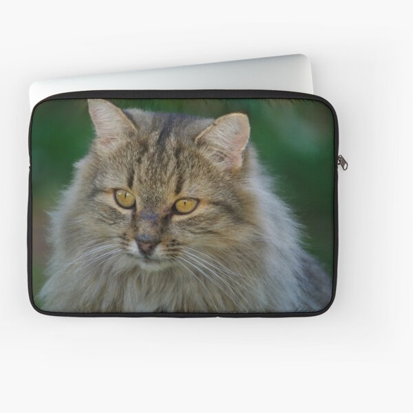 Ornithologist Laptop Sleeve