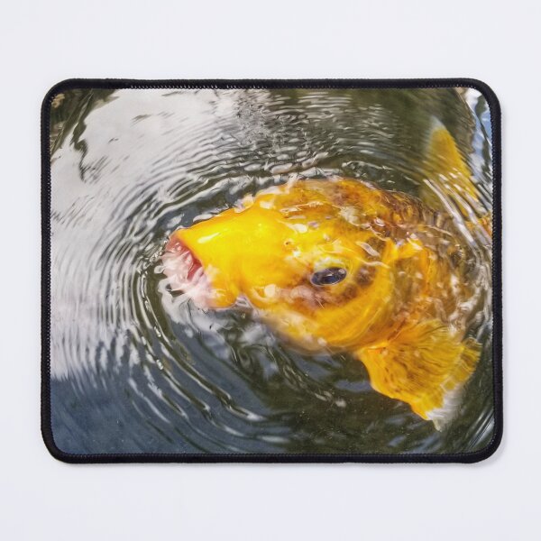 Item preview, Koi Fish designed and sold by Dead-Moroz.