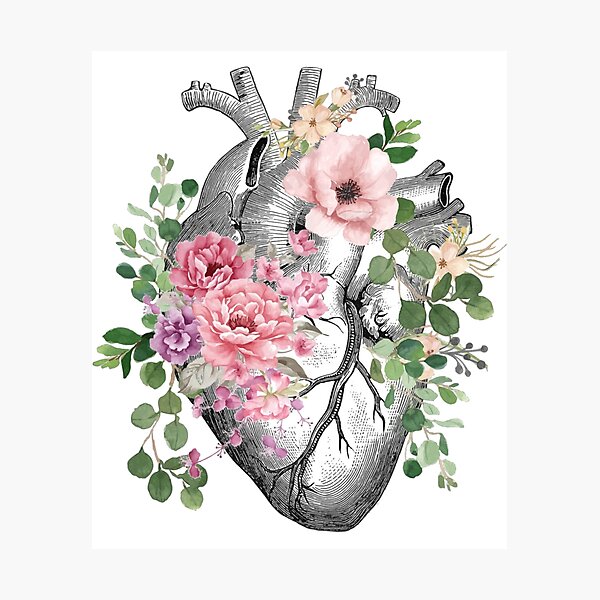 Bloom Floral Heart Human Anatomy pink roses flowers Photographic Print