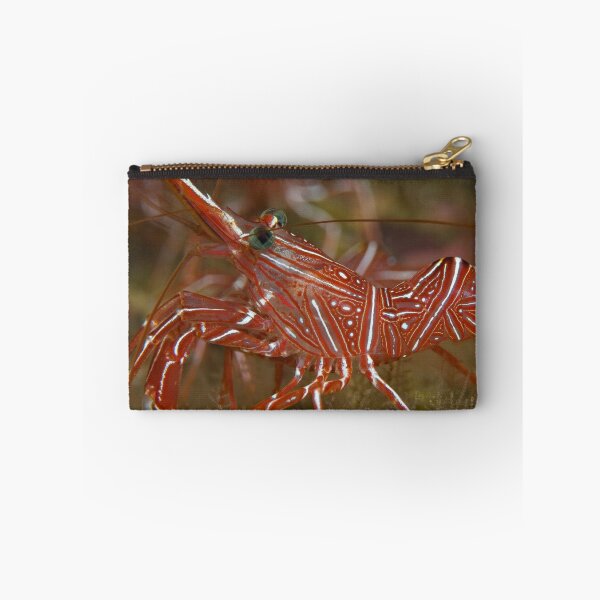 Artikelvorschau, Cleaner shrimp - macro detail  entworfen und verkauft von Stephen Colquitt.