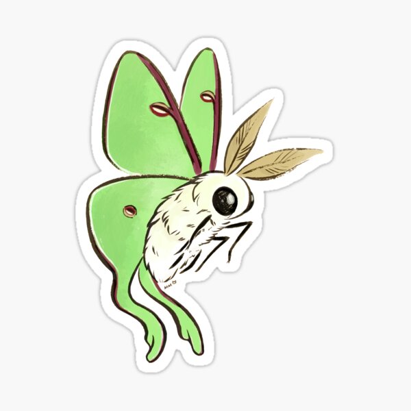 Luna Moth STICKER, waterbottle, laptop decoration- Stickers & Magnets -  GrayDayStudio