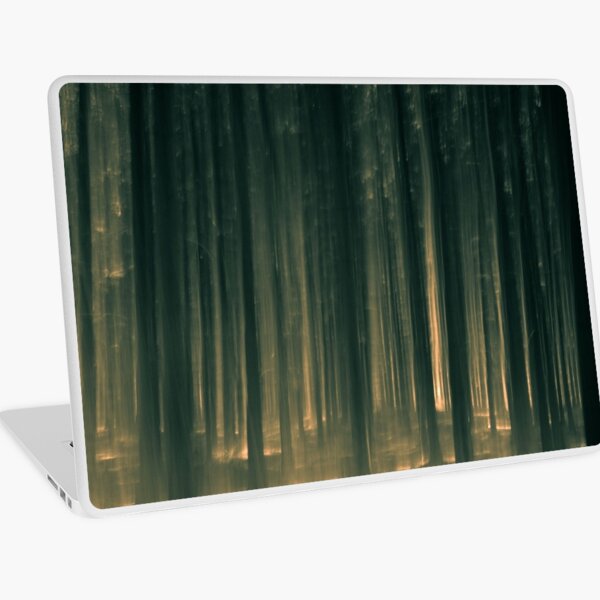 Lost Laptop Skin