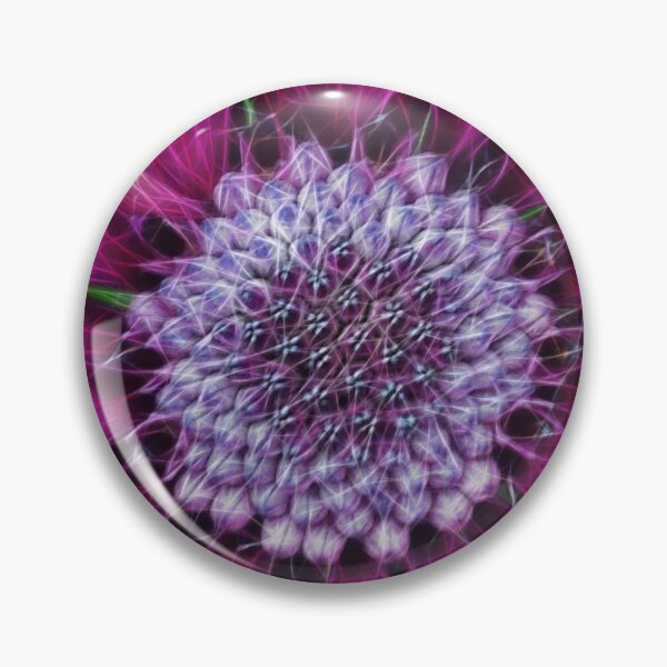 Item preview, brightly coloured glowing purple and pink striped gazania designed and sold by mister-john.