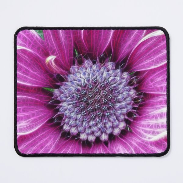 Item preview, brightly coloured glowing purple and pink striped gazania designed and sold by mister-john.