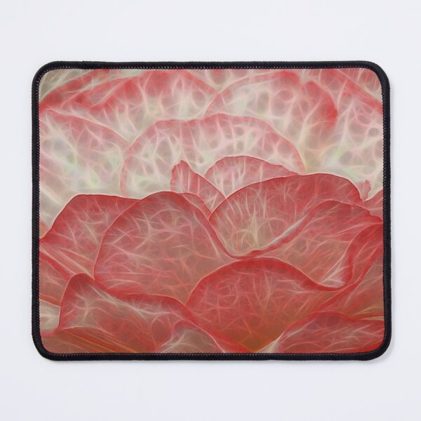 Item preview, side view of frilly white and red edged begonia plant in closeup glowing to show petal veins designed and sold by mister-john.