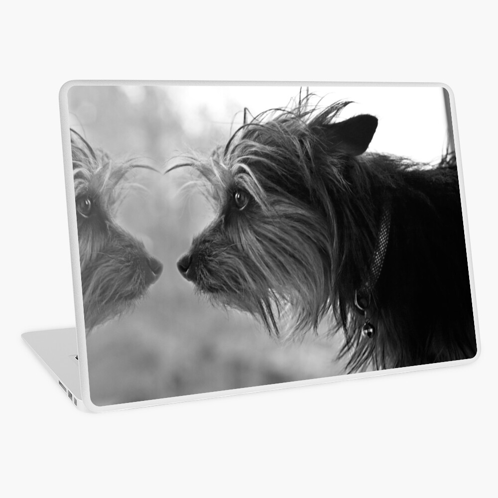 Item preview, Laptop Skin designed and sold by believer9.