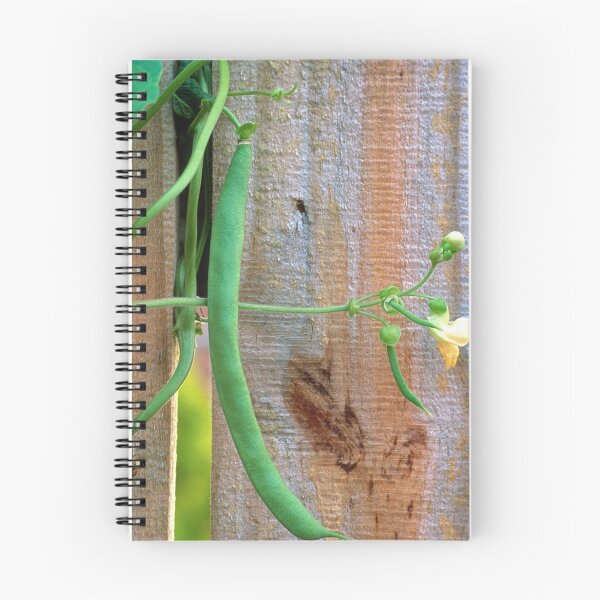 Item preview, Pole Bean Anyone? designed and sold by Bill Spengler's Photographic Thoughts.