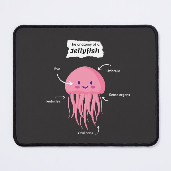 Item preview, The Anatomy of a Jellyfish designed and sold by DoherDesigns.