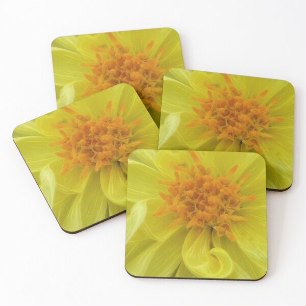 Item preview, closeup macro photography of bright glowing yellow dahlia bloom with yellow gold coloured complex structured center designed and sold by mister-john.