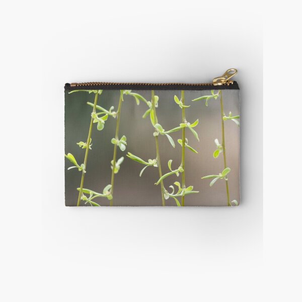 Item preview, Spring designed and sold by Janos Sison.