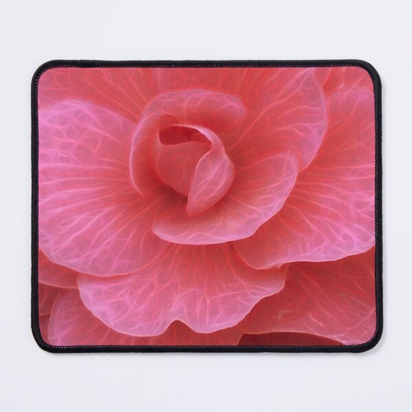 Item preview, frilly dark and light pink begonia plant in closeup glowing to show petal veins designed and sold by mister-john.