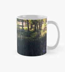Fall in Rice Lake Wisconsin Mug